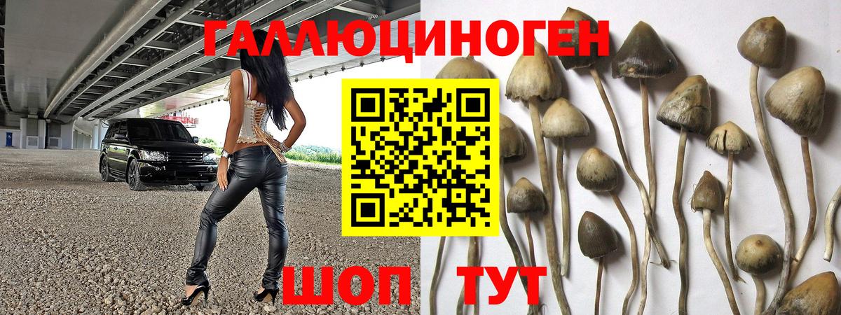 Псилоцибиновые грибы мицелий Лениногорск